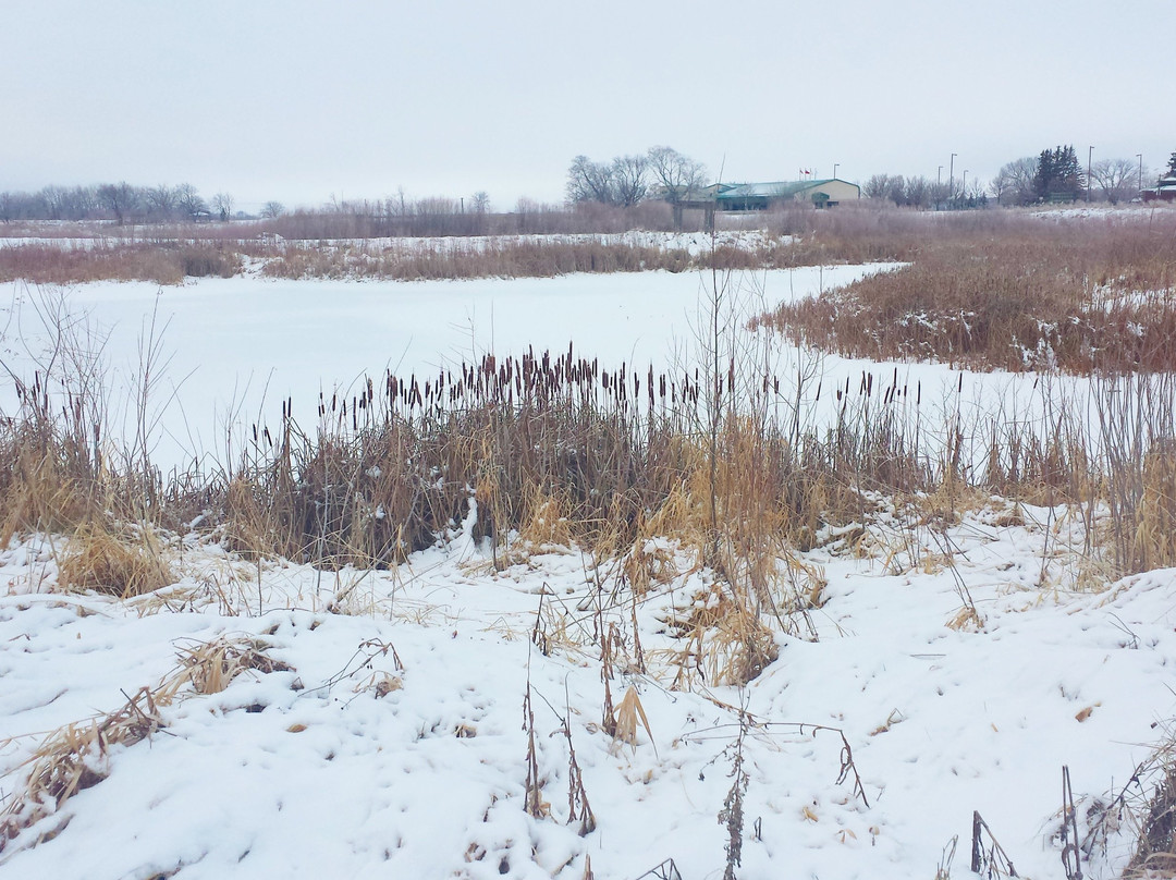 Riverbank Discovery Centre-布兰登必去景点