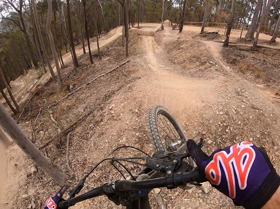Boomerang Farm Bike Park-Mudgeeraba必去景点