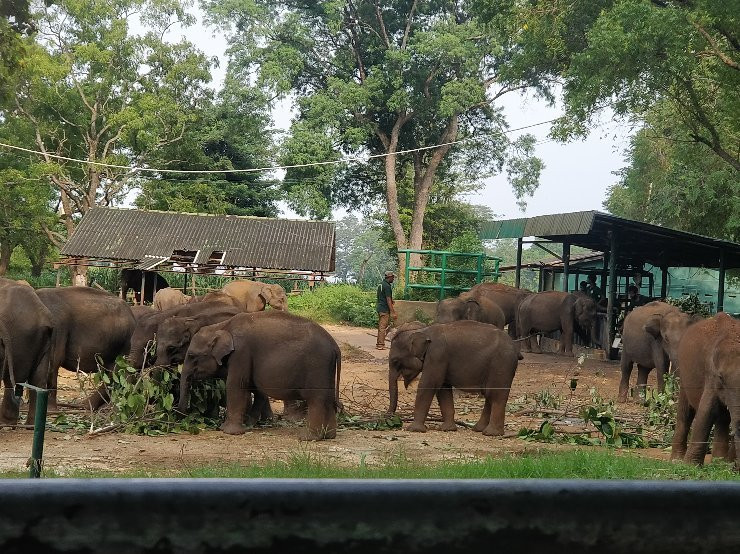 Finecare Tours Pvt Ltd-尼甘布必去景点