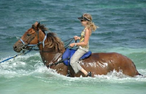 Hotel Casablanca Jamaica主图