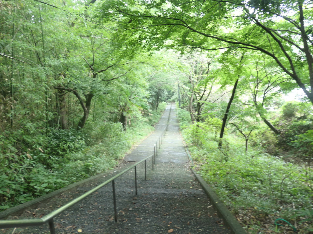 Kiyomizudera Temple景点图片