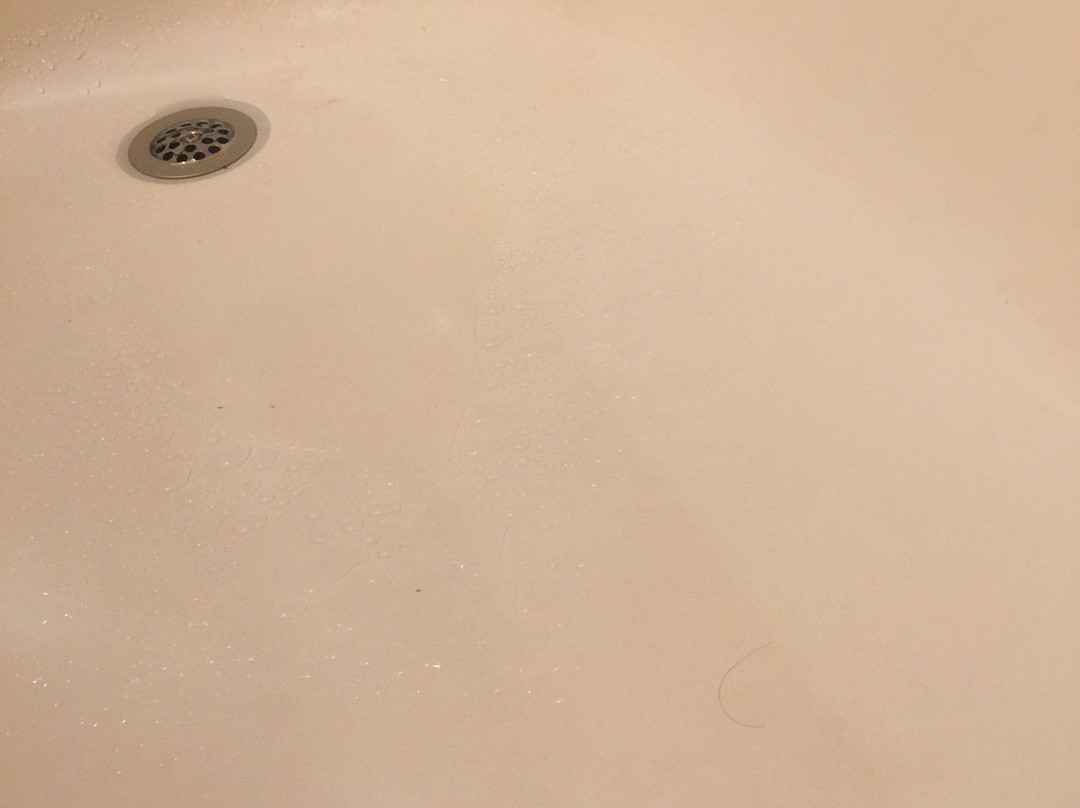 La Quinta Inn & Suites by Wyndham Florence主图