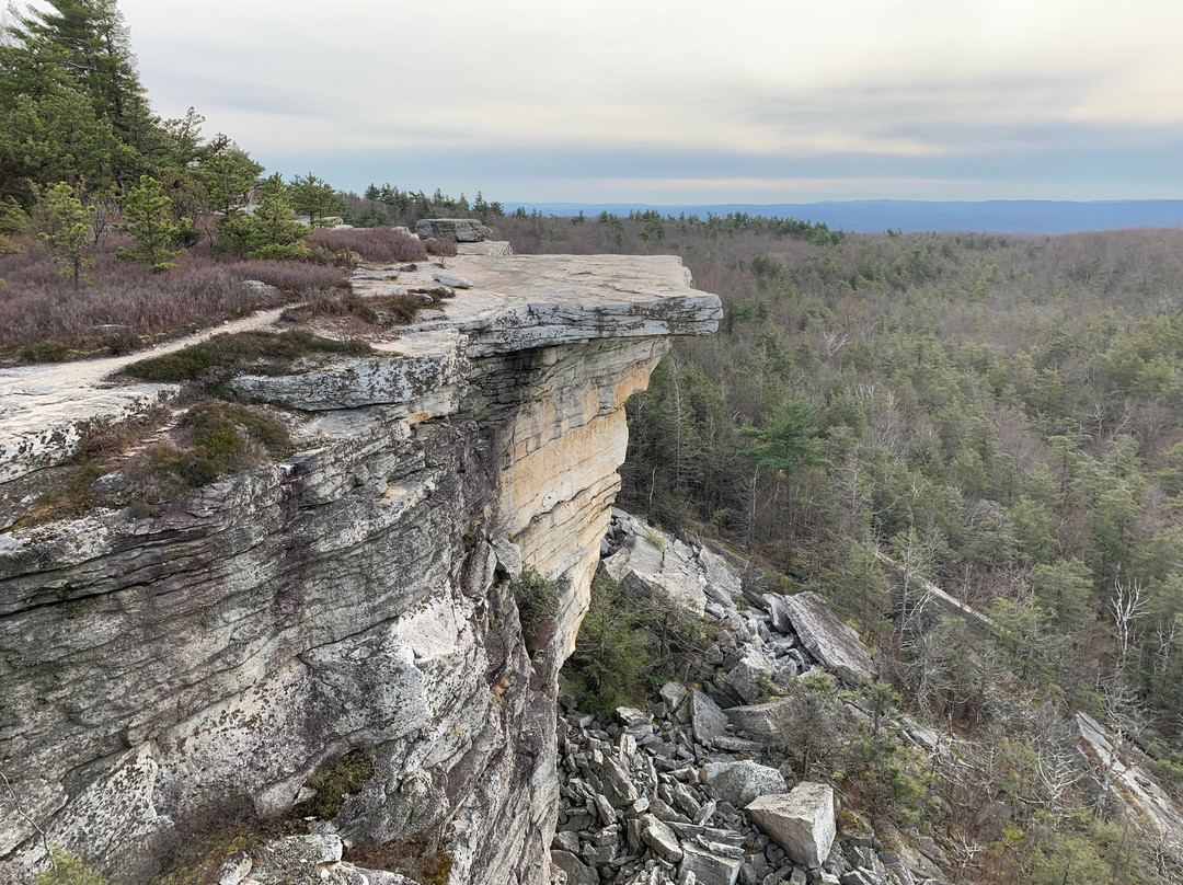 Hudson Valley Rose Bed & Breakfast主图