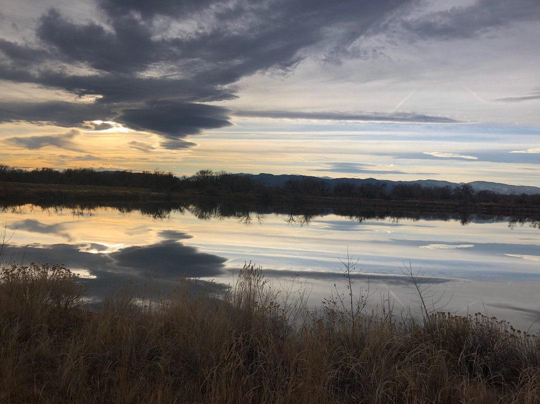 Riverbend Ponds Natural Area-科林斯堡必去景点