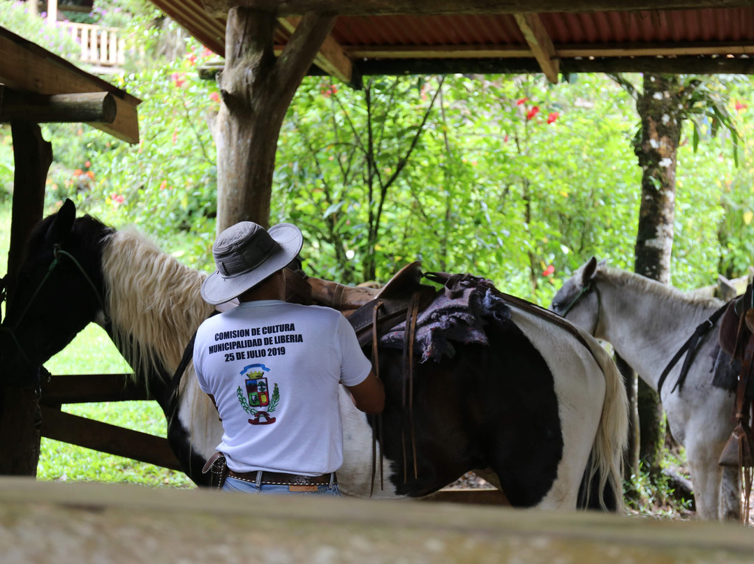 La Carolina Lodge主图