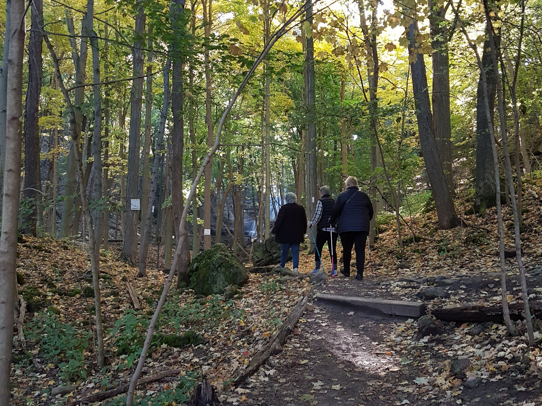 Sherman Falls-汉密尔顿必去景点