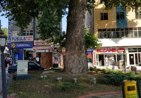 Tarihi Cinar Agaci-Vezirkopru必去景点