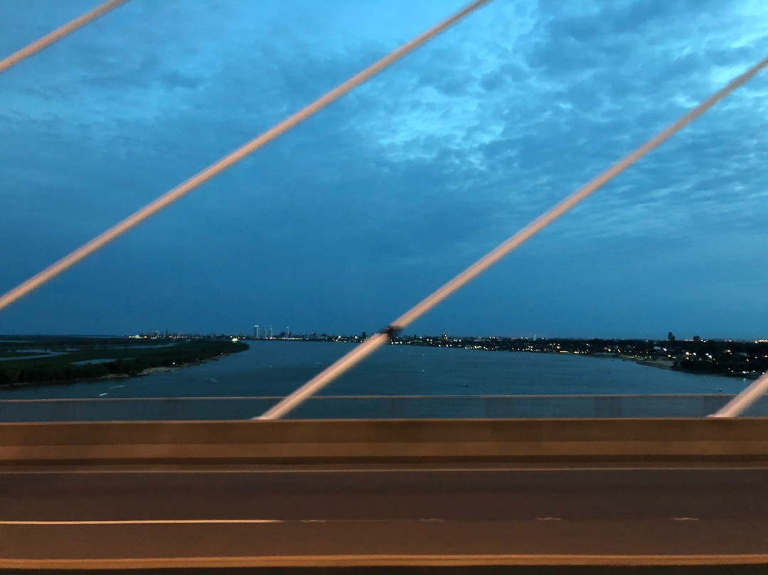 Rosario-Victoria Bridge景点图片