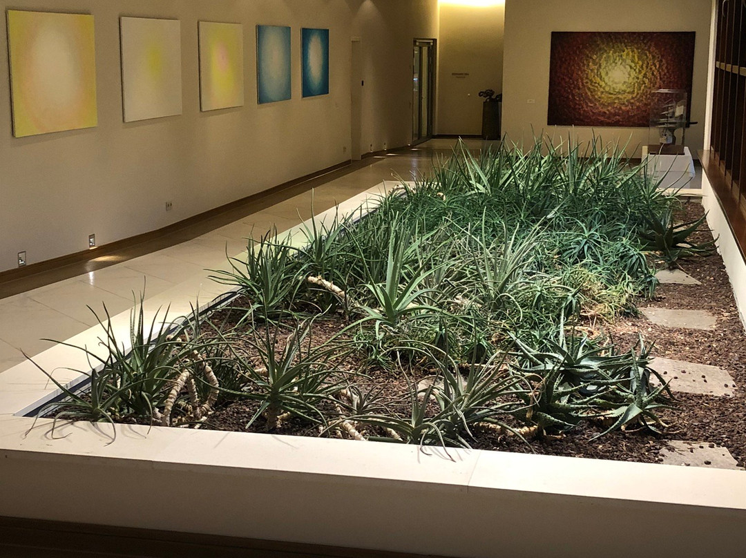 Wald & Schlosshotel Friedrichsruhe主图