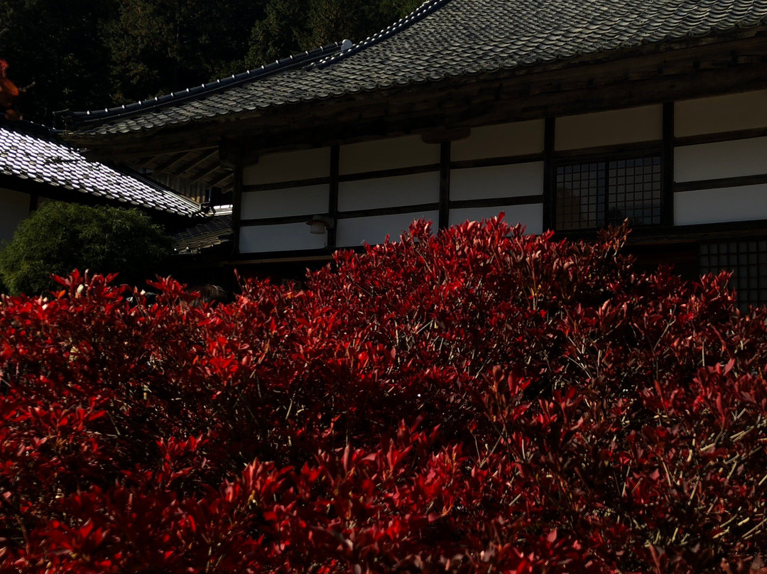 Ankokuji Temple-丰冈市必去景点
