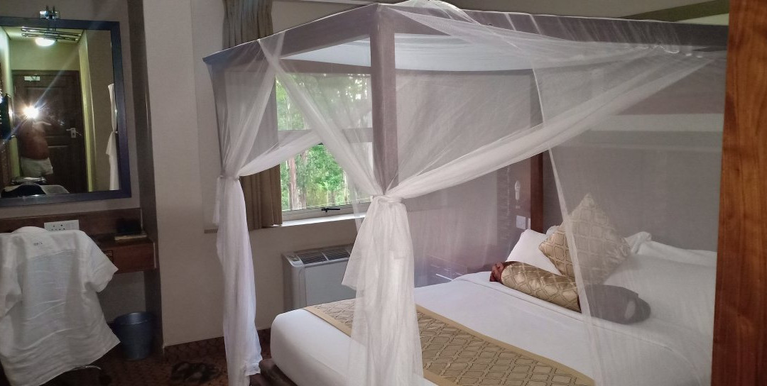 Hotel Victoria主图