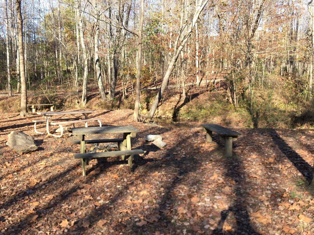 Cupid Fall Park-Young Harris必去景点