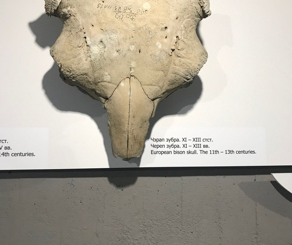 Berestye Archeological Museum-布雷斯特必去景点