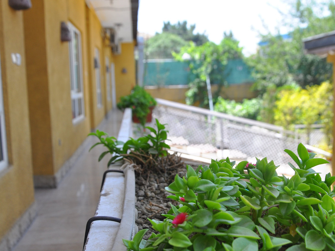 Marco Polo Inn主图