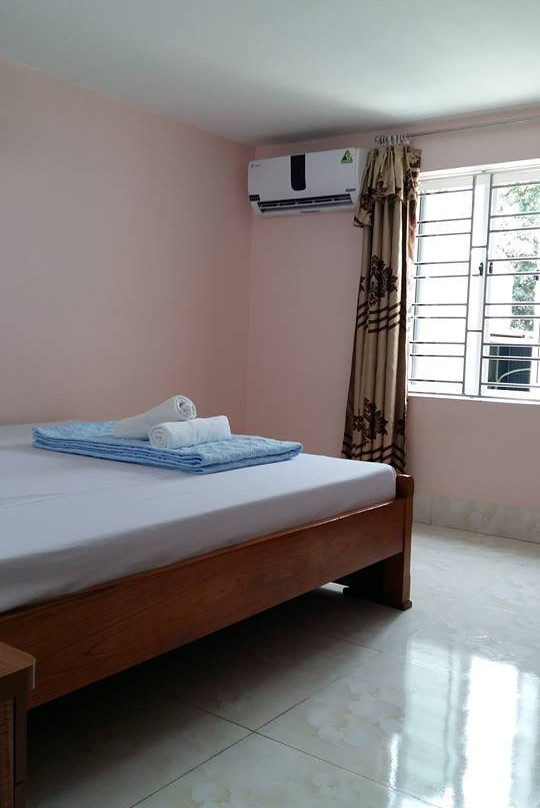 Cat Ba Sweet Potato主图