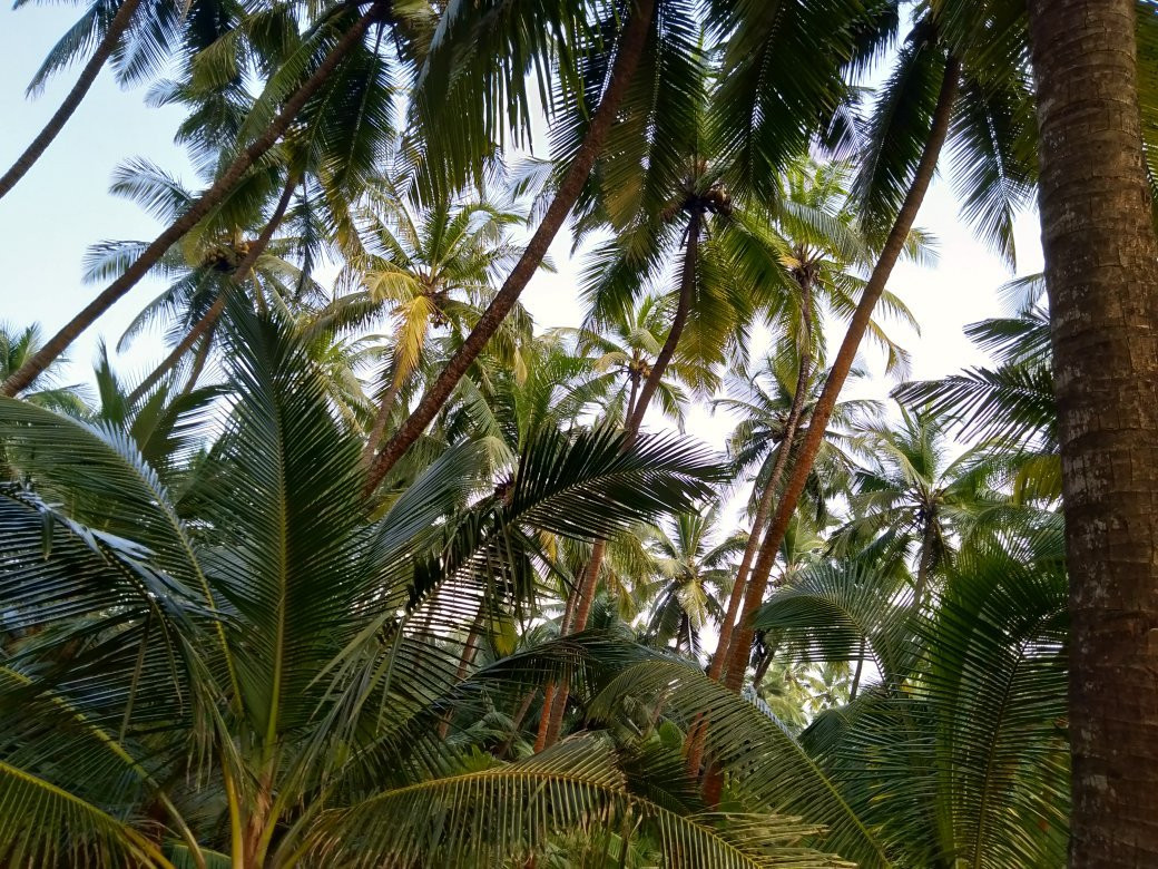 Osari Homestay主图