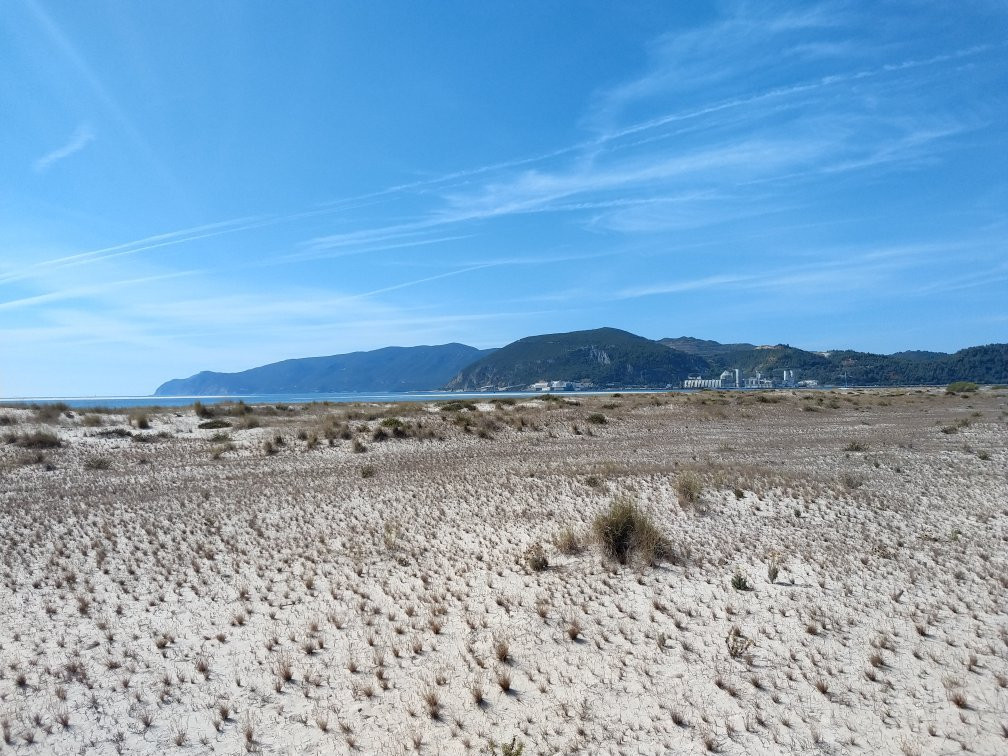 Praia Bico das Lulas景点图片