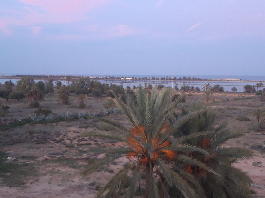 Dar Jasmin Djerba主图