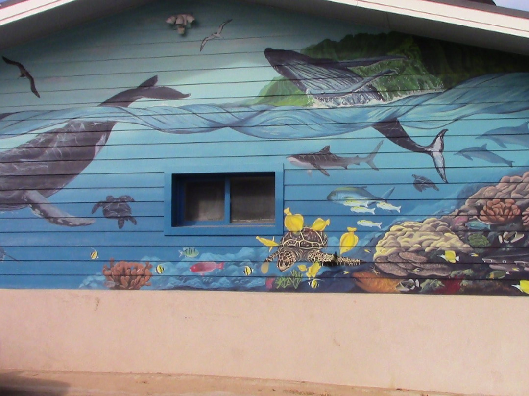 夏威夷座头鲸国家海洋保护-基黑必去景点