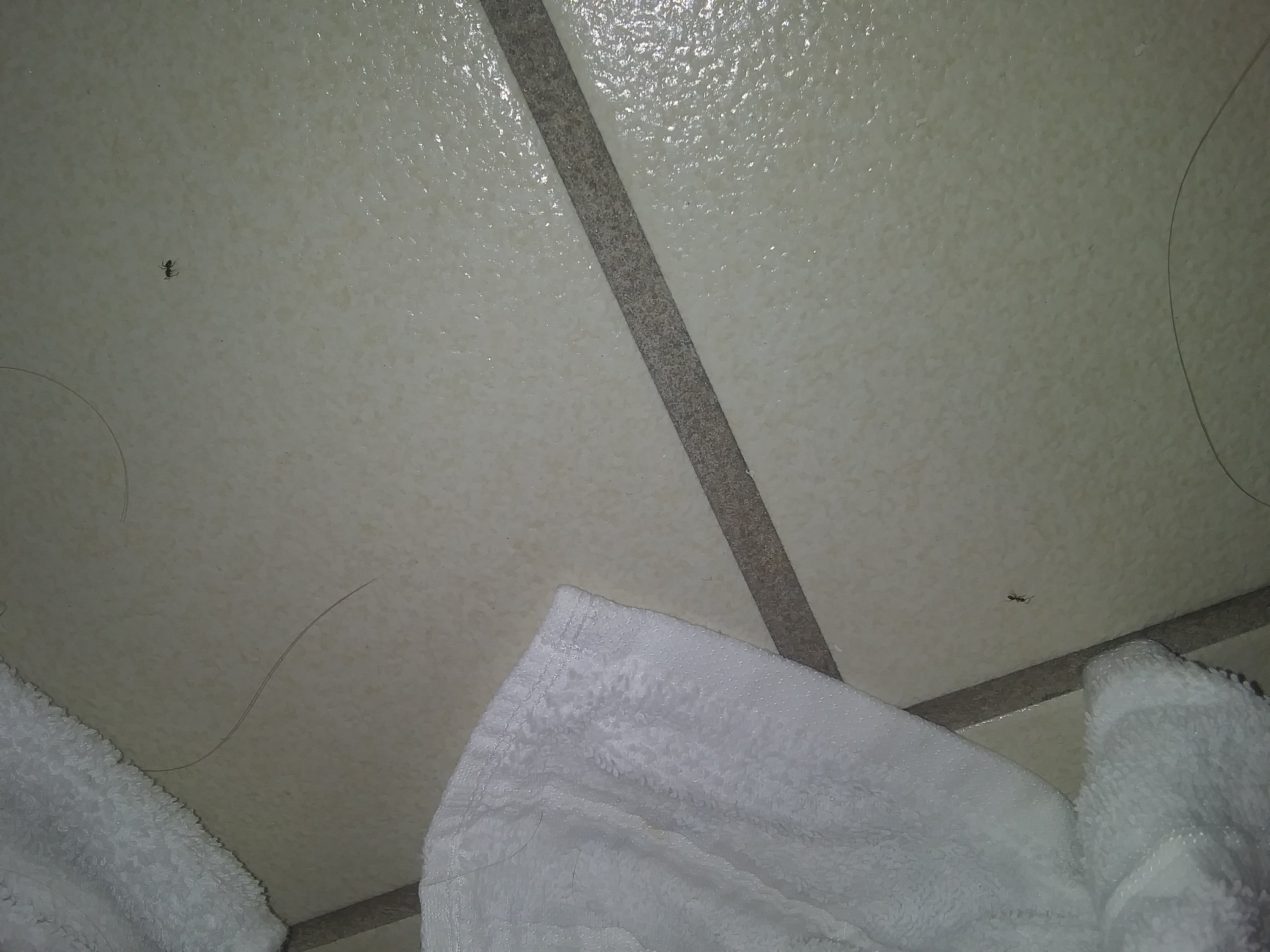 Howard Johnson by Wyndham Jackson-浴室