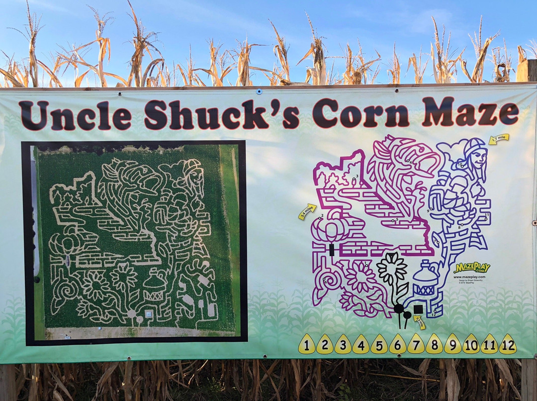 Uncle Shucks Corn Maze and Pumpkin Patch-道森维尔必去景点