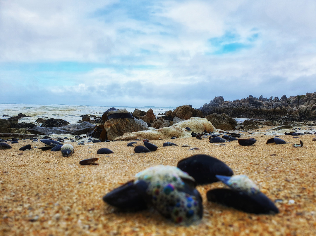 Kleinmond Beach-小月必去景点