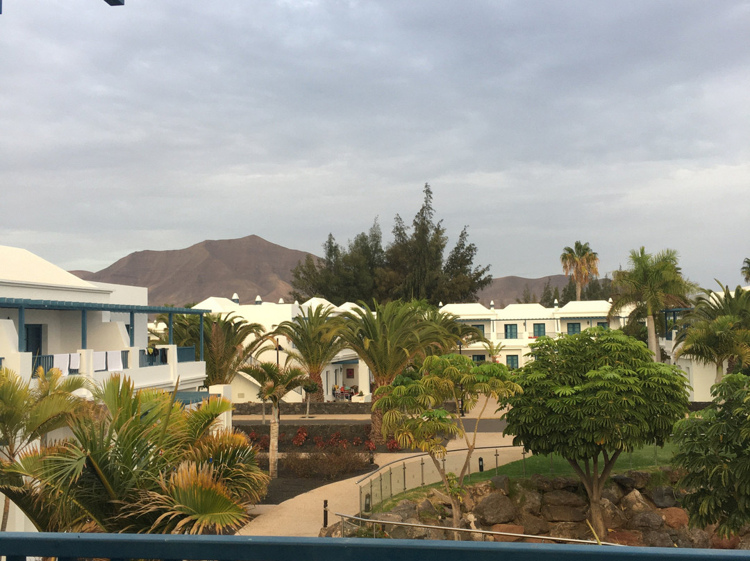 THB Tropical Island主图