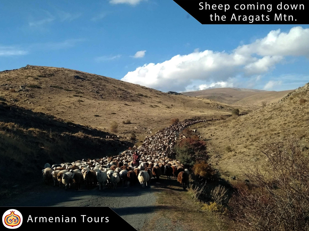 GT Armenian Tours-埃里温必去景点
