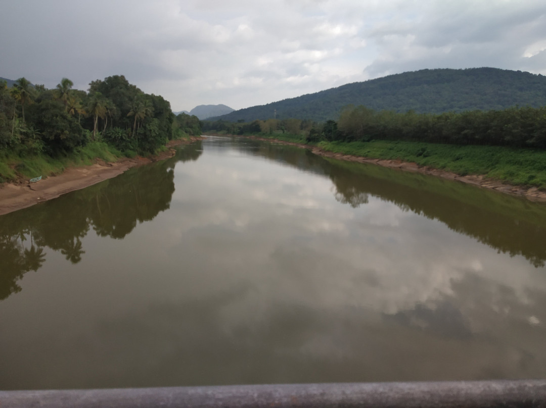 Thumboormuzhi Dam & Garden景点图片