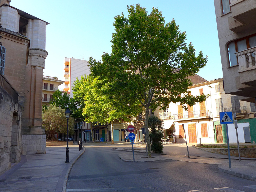 Bicis Sancho-马纳科尔必去景点