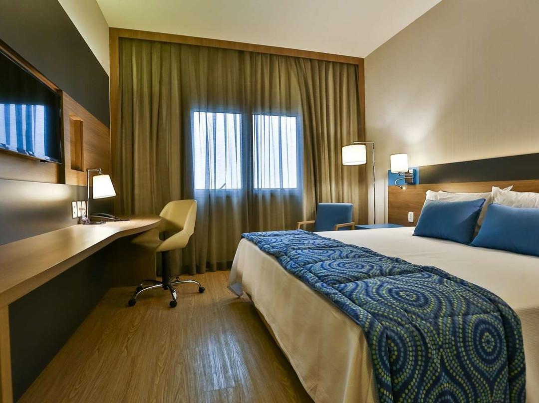 Hilton Garden Inn Santo Andre主图