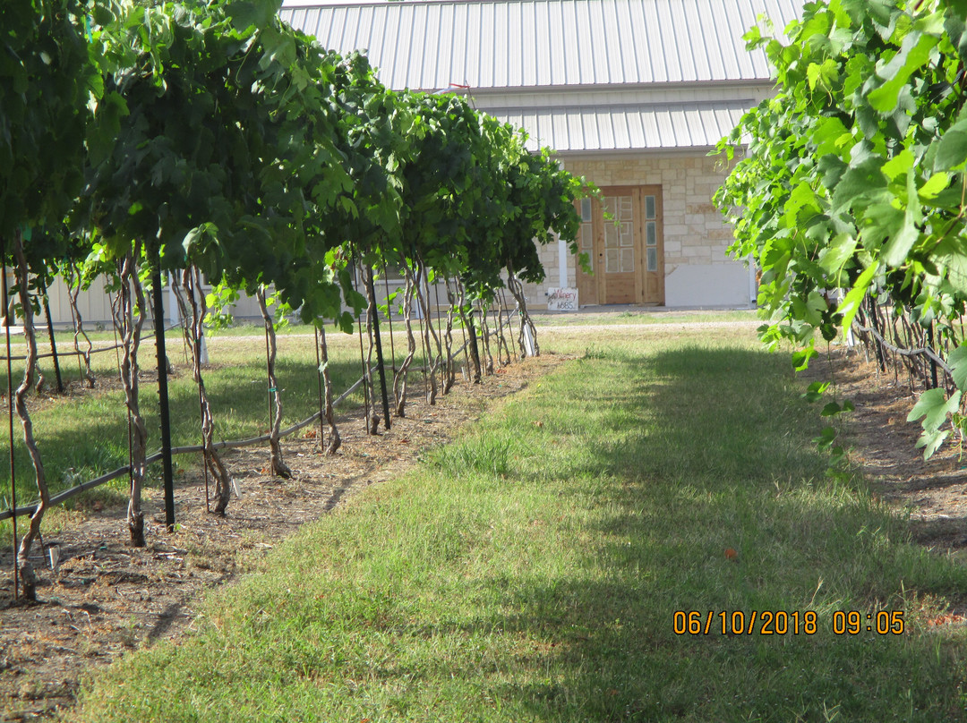 Country Spring Vineyard And Wine Garden景点图片