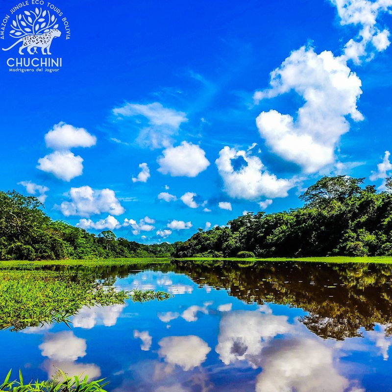 CHUCHINI Amazon Wildlife Reserve & Eco Lodge景点图片