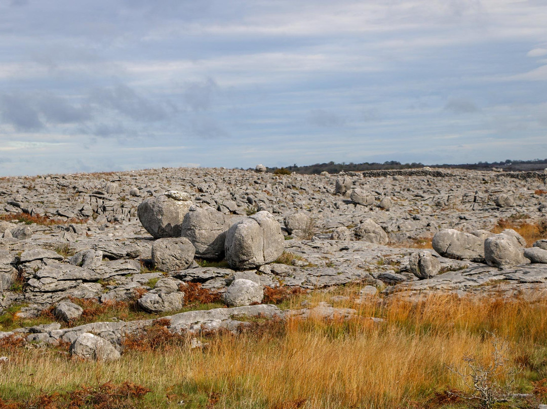 Burren Experience Guided Walks-Corofin必去景点