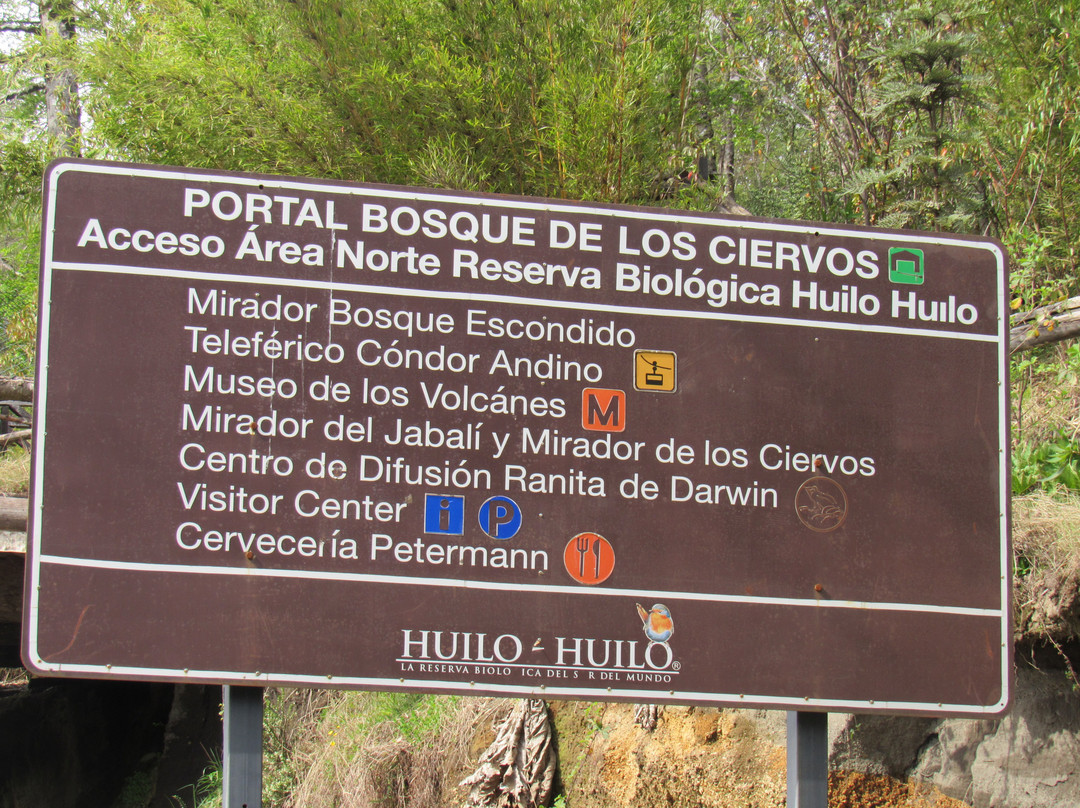 Teleferico Condor Andino景点图片