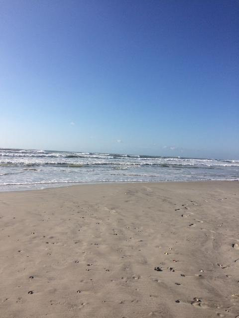 Shell Island Resort主图