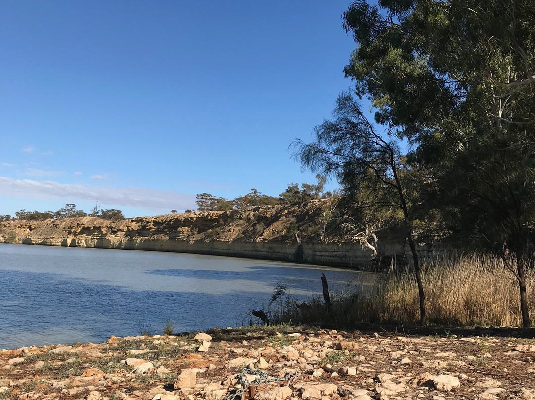 River Murray Ferries景点图片