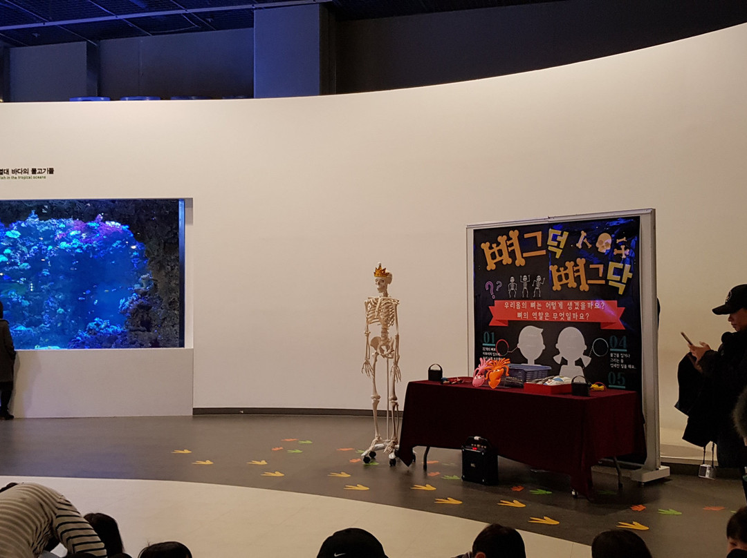 National Gwacheon Science Museum-果川市必去景点