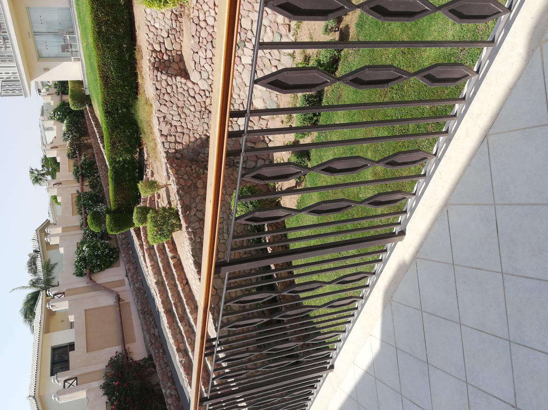 Vega Travel and Tourism-安曼必去景点