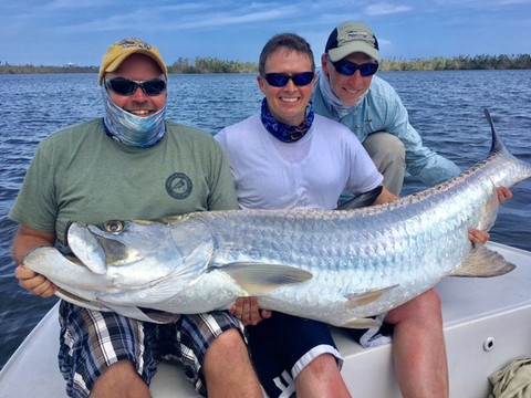 Peacock Bass and Tarpon Tours