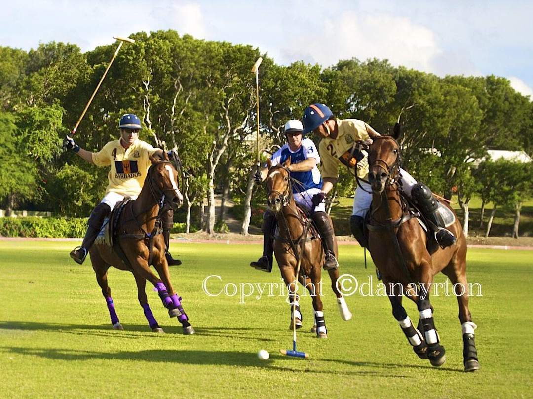 Barbados Polo Club景点图片