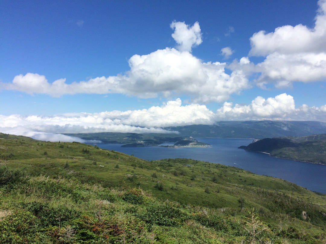 Lookout Hills Trail景点图片