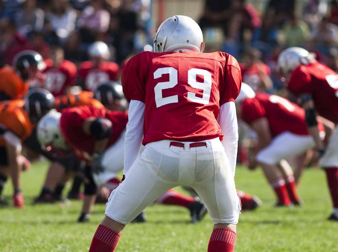 American Inn and Suites主图