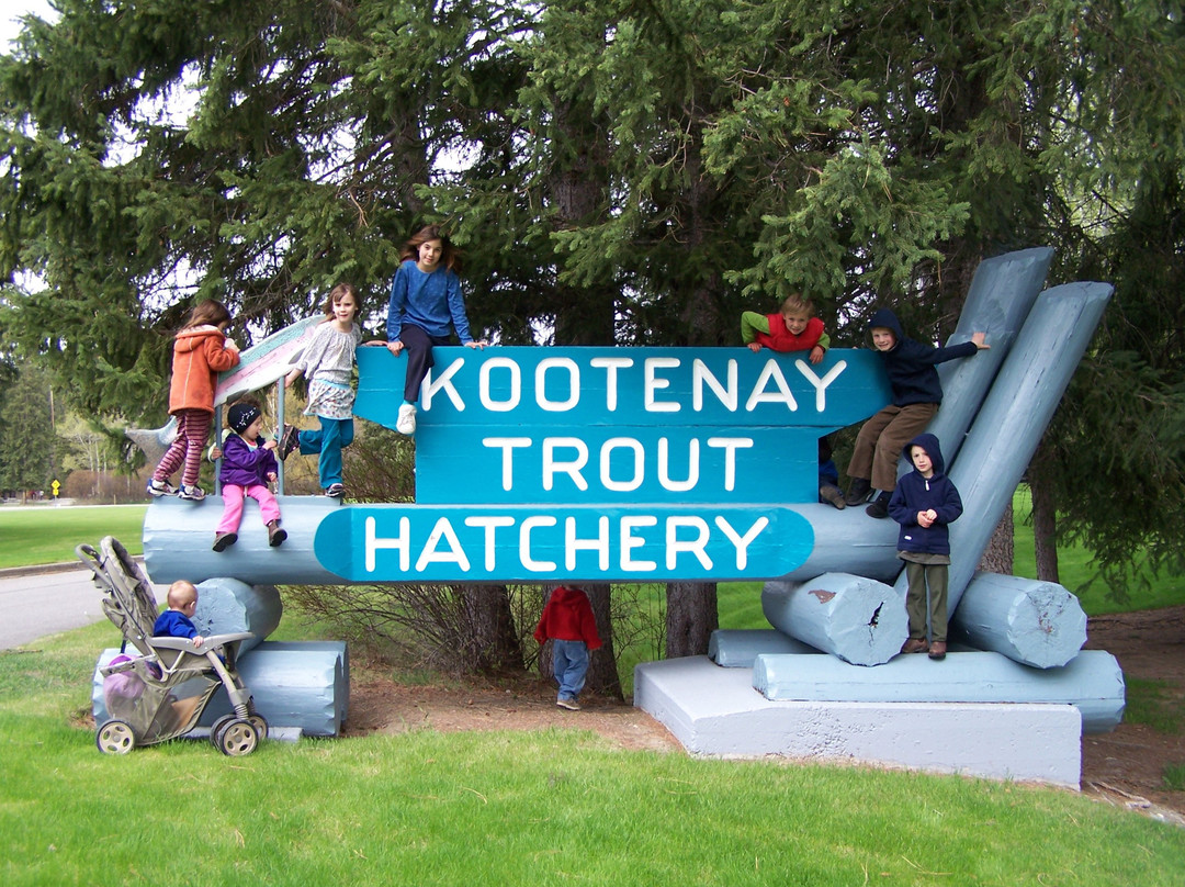Kootenay Trout Hatchery & Visitor Centre景点图片