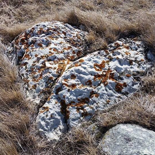 Majourville Cairn and Medicine Wheel