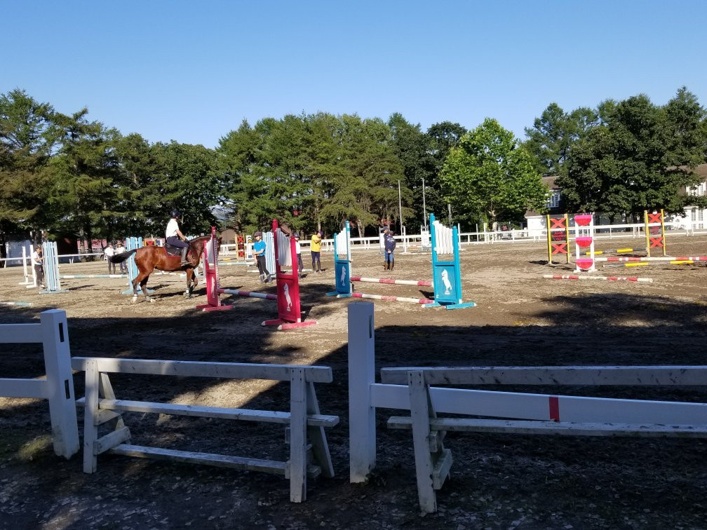 Shadai Stallion Station-安平町必去景点