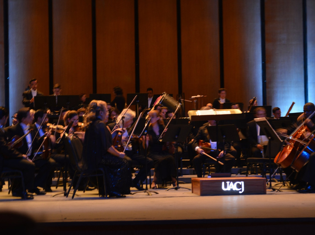 Centro Cultural Paso del Norte-华瑞兹城必去景点