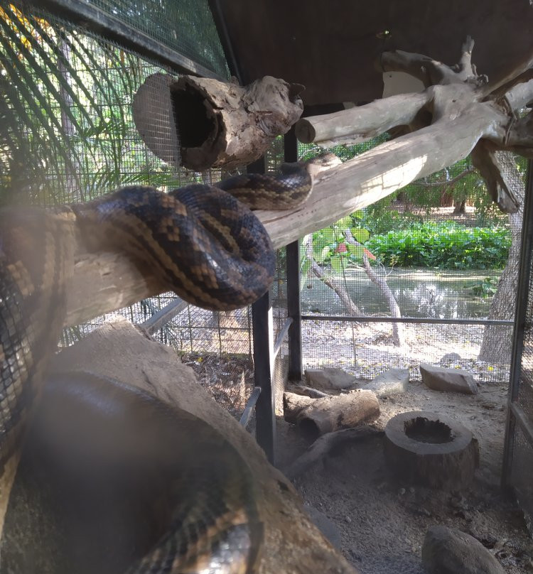 丹特里野生床和早餐主图