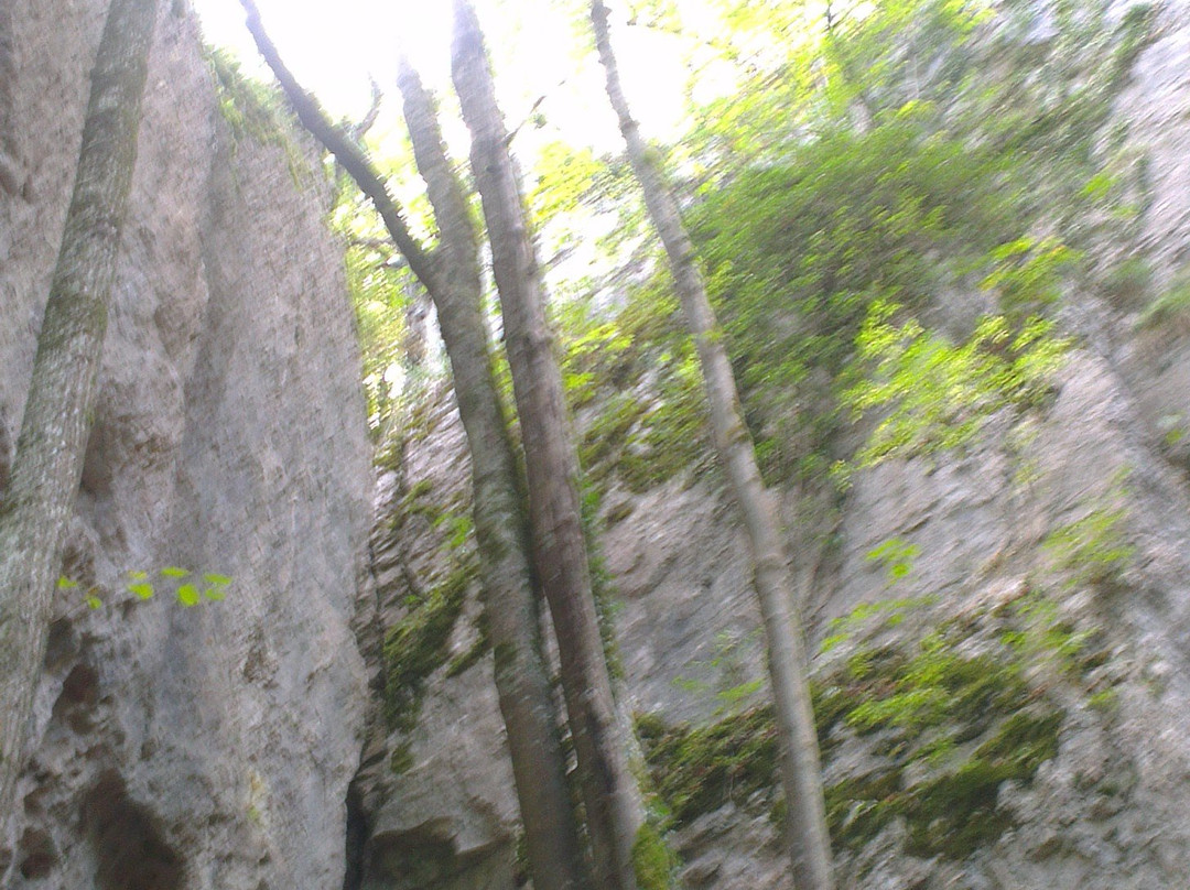 Grotte des Nains-Ferrette必去景点