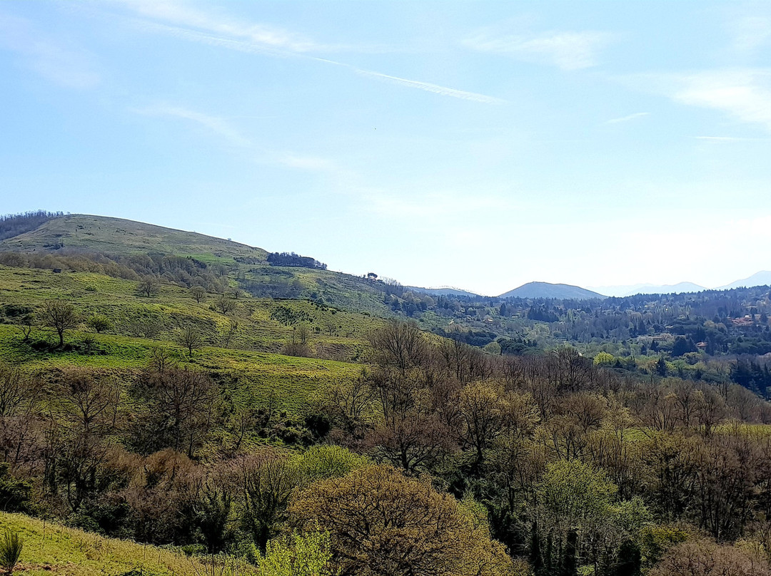Monte Tuscolo-Monte Porzio Catone必去景点
